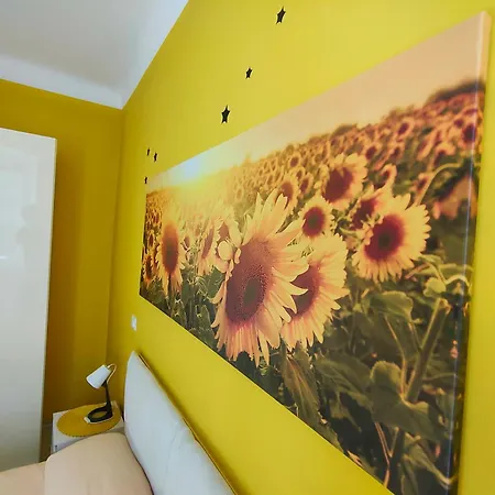 Sunflower *