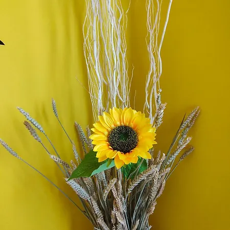 Sunflower Апартаменты