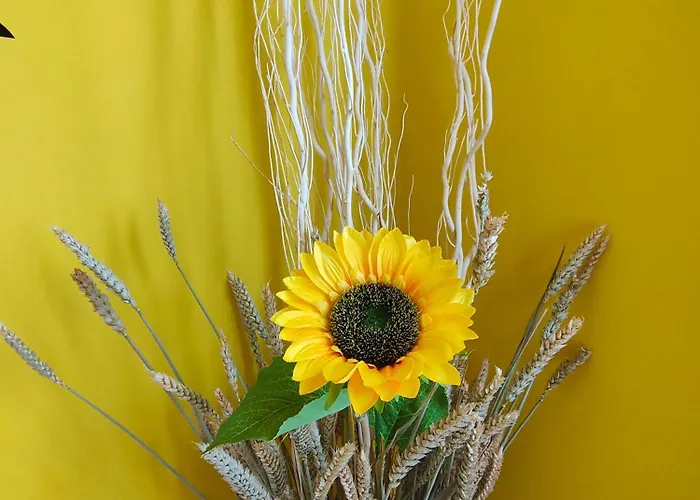 Sunflower Apartamento